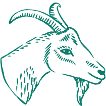 mm-ast-icon-14379
