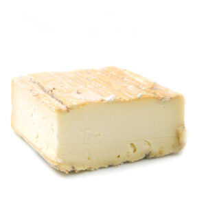 Taleggio