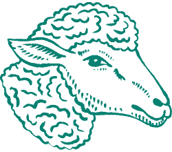 mm-ast-icon
