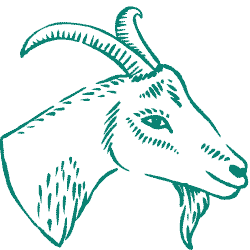 mm-ast-icon