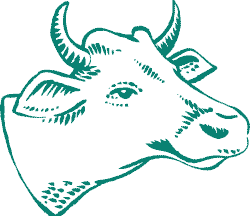 mm-ast-icon-14378