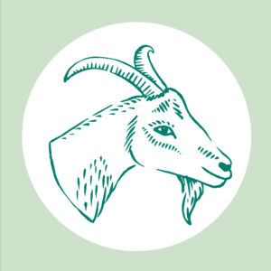 Crottin du Morvan frais